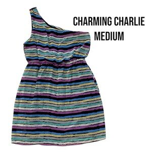 Charming Charlie Dress Medium One Shoulder Striped Sleeveless Casual Multi Color